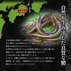 鱧 天ぷら 6個 × 3袋 セット 冷凍 電子レンジ 調理 和食 おかず 徳島県 ハモ 揚げ物 魚介 料理 簡単 かんたん 