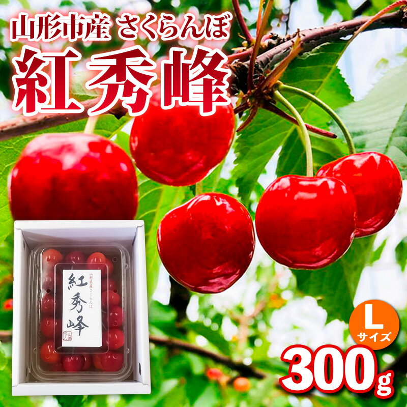 【ふるさと納税】山形市産さくらんぼ【紅秀峰】Lサイズ 300g バラ詰め 【令和8年産先行予約】FS25-034