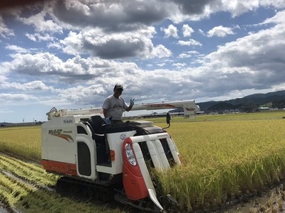 R8年産 新米予約 【5ヶ月定期便】 ひとめぼれ白米 10kg×5ヶ月お届け ひとめぼれ