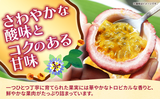【先行受付】【2027年発送】黄金ファーム南星 パッションフルーツ 家庭用 約2kg (26～32玉) - ご自宅用 キズあり 色むらあり ご家庭用 先行予約 南国フルーツ 国産 おすすめ 沖縄県 八