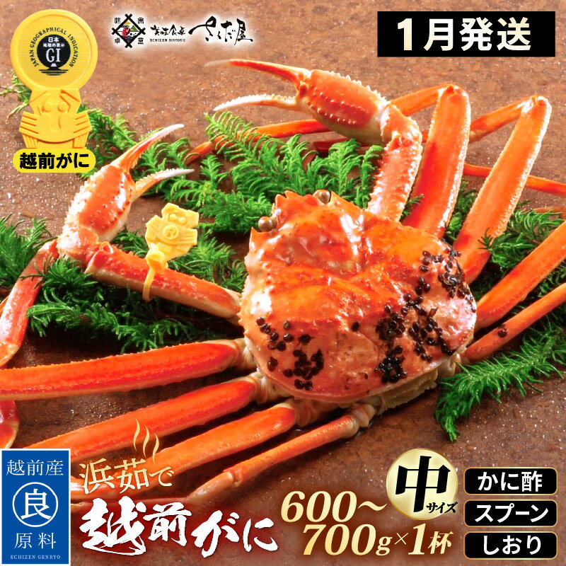 【ふるさと納税】浜茹で 越前がに 中サイズ（生で600〜700g） × 1杯 かに酢 食べ方しおり スプーン付き【1月発送分】【かに カニ 蟹 ズワイガニ ずわいがに 姿 ボイル 福井県 冷蔵】希望日指定可 備考欄に希望日をご記入ください [e04-x029_01]