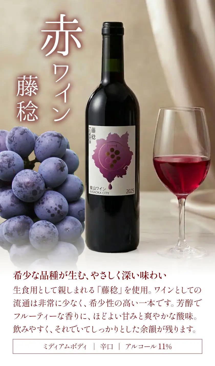 東山ワイン2025 750ml 藤稔 東山農園