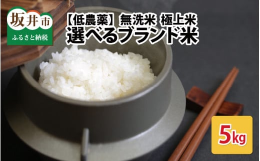 【令和6年産・新米】【低農薬】福井県産 極上無洗米 5kg　《あきさかり》[A-8806_04]