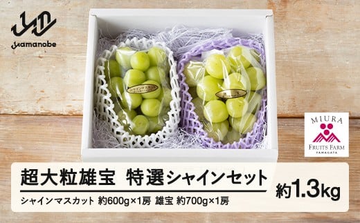 《先行予約》2026年 山形県山辺町産 超大粒 雄宝と特選シャインマスカットセット 2026年9月中旬から順次発送 F21A-240
