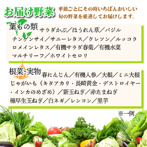野菜セット 9〜10品 定期便 12回 野菜