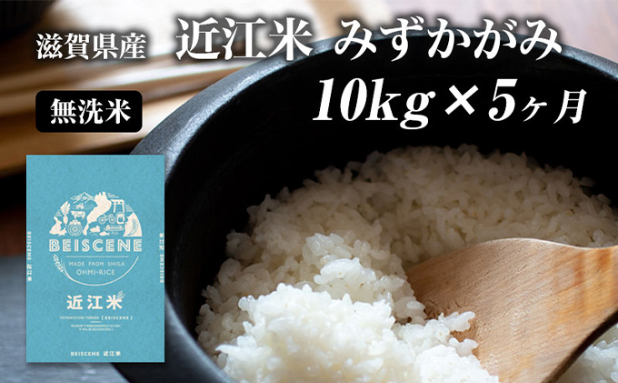 
            【定期便】令和7年産新米　滋賀県豊郷町産　近江米 みずかがみ　無洗米　10kg×5ヶ月 お米 
          