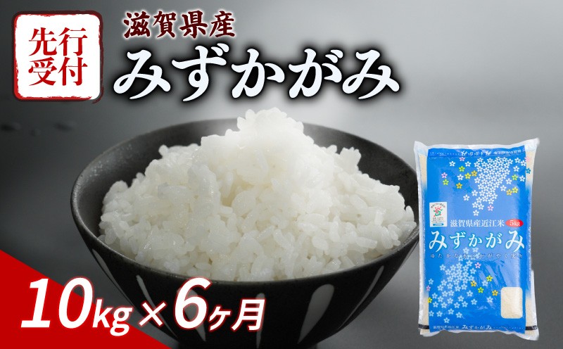 
            【令和7年産先行受付】 みずかがみ 10kg 6ヶ月定期便 令和7年産 新米 米 こめ ご飯 米 先行受付 定期便 6回定期便 6か月定期便 6回 6か月 先行受付 10キロ 令和7年 滋賀 彦根
          