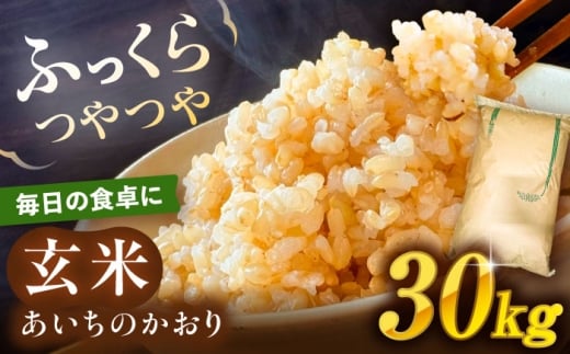 ＼大容量／ あいちのかおり 玄米 30kg お米 玄米 愛西市 / 日栄トラクター [AEDM001]