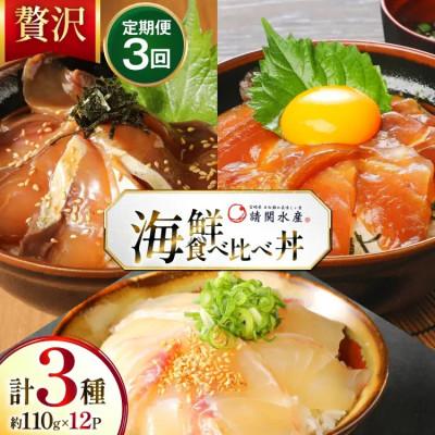 ふるさと納税 日向市 【毎月定期便】 海鮮丼 海鮮漬け丼 食べ比べ 全3回