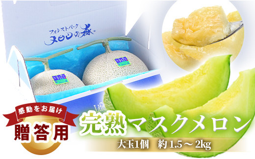 メロンの森　アールスメロン（マスクメロン）1個入り（約1.5kg～2kg）