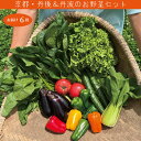 【ふるさと納税】 【定期便】合計6回お届け　有機野菜・京野菜の『京都やおよし』の京丹後・亀岡市お野菜詰め合わせ　野菜 お野菜 京野菜 詰め合わせ ふるさと納税 野菜 セット 定期便