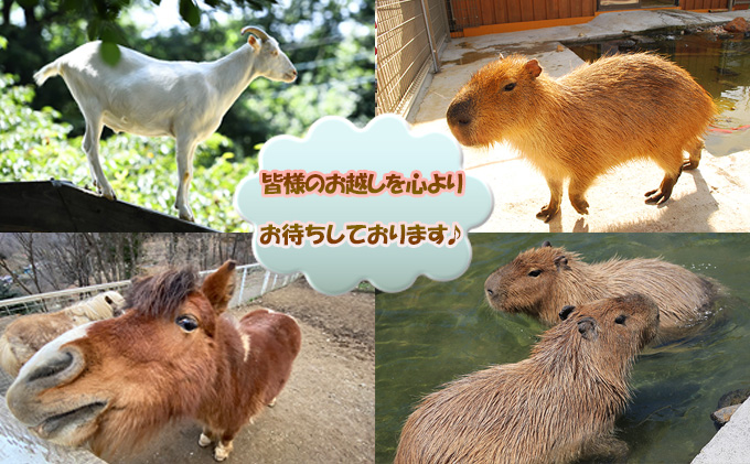 もちぶたを堪能できる手ぶらでバーべキュー！【Bコース】