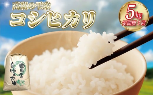 令和7年産 徳島県産 コシヒカリ 定期便 5kg×3回 【食味検査91点獲得！】 コシヒカリ ヒノヒカリ に負けない ブランド米 精米 白米 ご飯 おにぎり 弁当 おこめ 徳島 とくしま 阿南 新野 高嶺の雫米