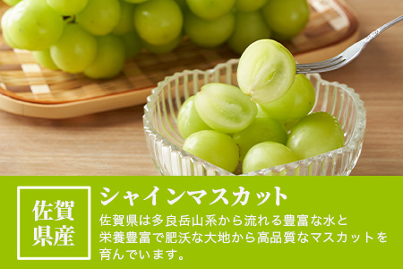 【先行予約】 佐賀県産 シャインマスカット (約1.3kg) B-658