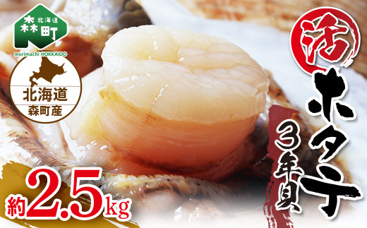 
                  【先行予約】北海道森町産 活ホタテ3年貝 2.5kg（約10-15枚）（2024年2月以降発送）＜道産ネットミツハシ＞ 森町 ほたて 帆立 ホタテ 活ホタテ 活帆立 海産物 魚貝類 ふるさと納税 北海道 mr1-0439
                