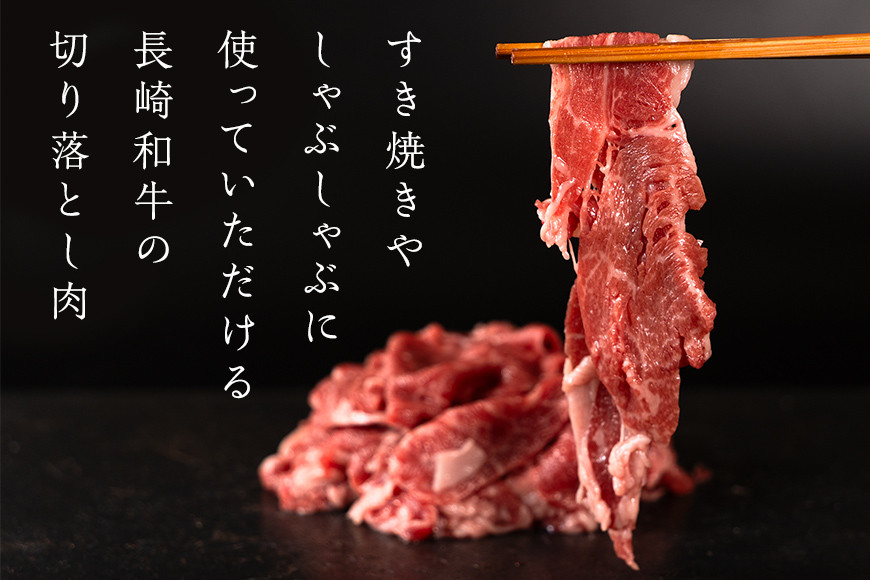 AI125 訳あり 牛肉 長崎和牛 切り落とし 計1.2kg (300g×4P) [ 肉 和牛 牛 精肉 冷凍 小分け すき焼き しゃぶしゃぶ 日本ハムマーケティング 長崎県 島原市 ]_イメージ3