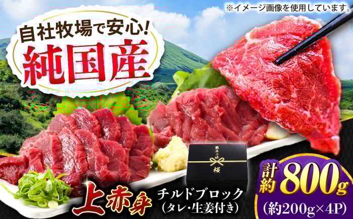 
            『純国産』熊本の味 上赤身 馬刺し 計約800g（約200g×4パック）ブロック チルド 冷蔵 タレ付き 【有限会社 九州食肉産業】 [AYCN108]
          