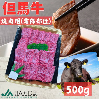 【ふるさと納税】但馬牛　焼肉用(霜降り部位)500g【配送不可地域：離島】【1615681】