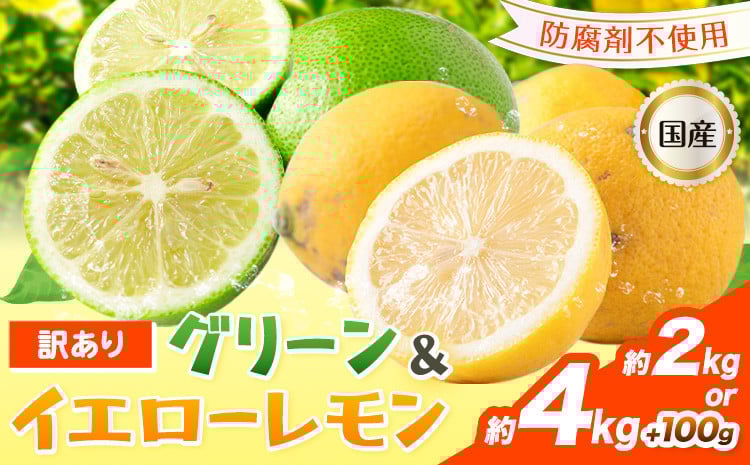 
            生産者応援企画！訳あり 国産レモン 選べる 約2kg 約4kg 《10月上旬-1月下旬頃出荷》産地直送 レモン 檸檬 グリーンレモン イエローレモン 防腐剤不使用
          