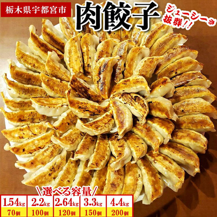 【ふるさと納税】【選べる内容量】餃子専門店 宇都宮 悟空 肉餃子｜餃子 冷凍餃子 冷凍 ぎょうざ ギョーザ 惣菜 中華 冷凍食品 焼き餃子 肉たっぷり餃子 国産豚肉 豚肉 国産野菜 国産 もちもち餃子 人気 名物 行列 グルメ おかず おつまみ 簡単 小分け セット 栃木県