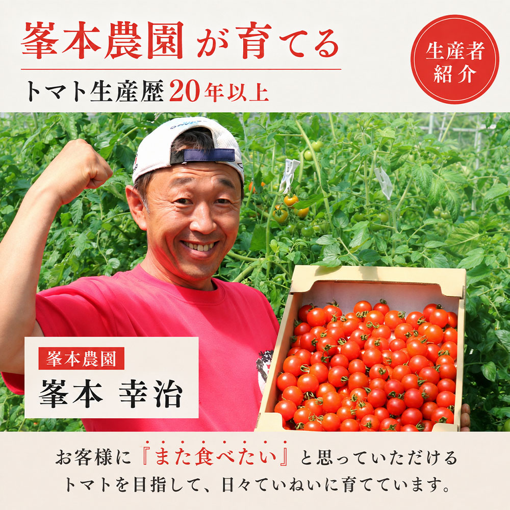 【11月発送】トマト魂！峯本の贅沢フルティカトマト（中玉サイズ）4kg 4キロ  ミディトマト トマト ふるさと納税 フルティカ とまと サラダ 野菜 美味しい【R01033】