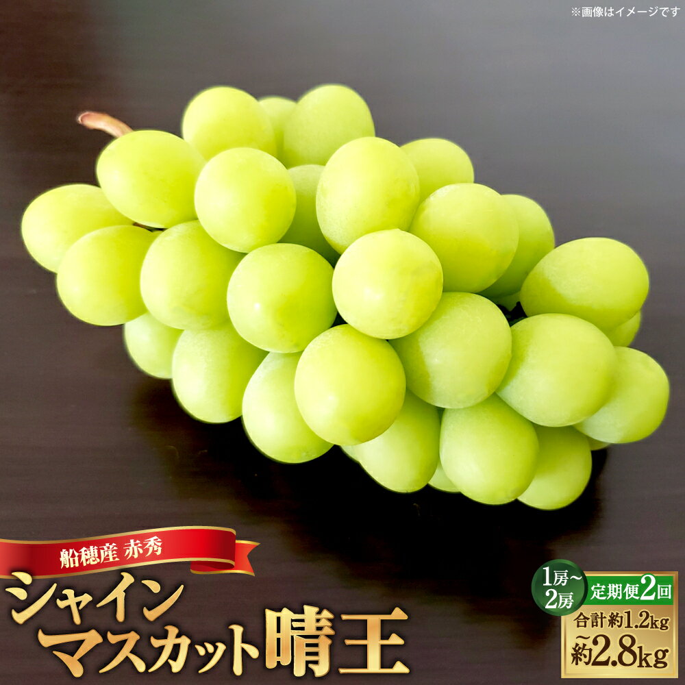 【ふるさと納税】[HS] 【2回定期便】船穂産 赤秀 シャインマスカット 晴王 ＜選べる内容量＞ 1回あたり1房 / 2房 約600g～計約1.4kg ぶどう ブドウ 葡萄 フルーツ くだもの 冷蔵 国産 岡山県産 倉敷市 送料無料 【2026年9月上旬～10月下旬発送】