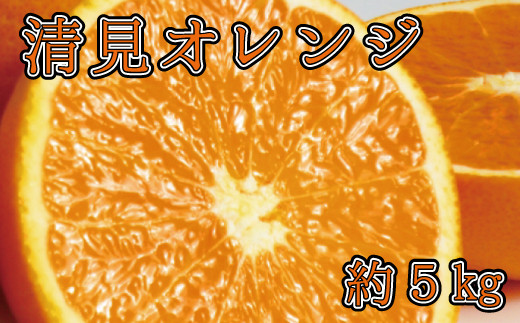 【予約】【ジューシー】清見オレンジ 5kg※2026年3月下旬頃～2026年4月中旬頃に順次発送予定（お届け日指定不可）【uot710-2】