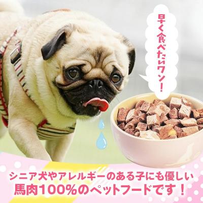 ふるさと納税 甲佐町 馬肉100%ペットフード |  | 01