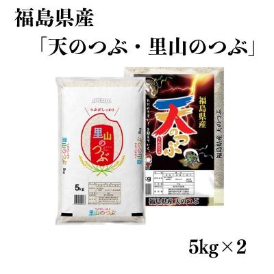 ふるさと納税 福島市 【令和7年産】福島県産米「天のつぶ・里山のつぶ」食べ比べ精米 10kg No.3054