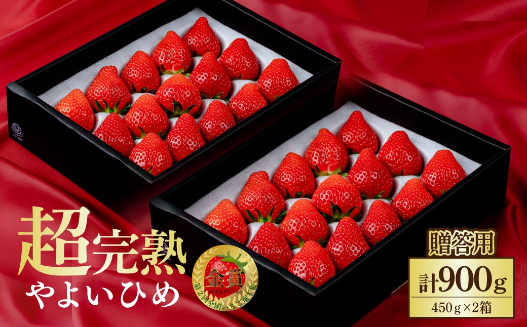 
            【先行受付：選べる発送月】いちご 鈴木ファームの朝摘み やよいひめ ギフトセット900g(450g×2箱) | いちご イチゴ 苺 とちあいか とちおとめ 完熟 甘い あまい 果物 フルーツ 鈴木ファーム 栃木県 茂木町
          