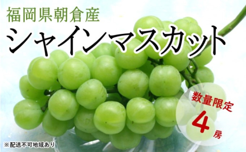 シャインマスカット 4房 正箱（約1.8kg）★(有)ティース【配送不可：沖縄・離島】