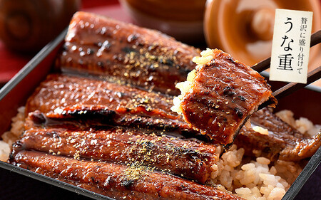 うなぎ 蒲焼き 国産 約200g × 2尾 無頭（化粧箱入り）【うなぎ 加工品 ギフト 贈り物 プレゼント 贈答 冷凍 蒲焼 かば焼き ふんわり ふっくら仕上げ ウナギ 鰻 のし 熨斗 しおそう 塩荘