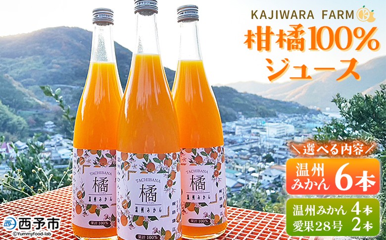
                  ＜柑橘100％ジュース （温州みかん6本／温州みかん4本＆愛果28号2本）＞ 選べる 温州みかん 愛果28号 紅まどんな 高級柑橘 ストレートジュース 果汁100％ ミカン 蜜柑 果物 柑橘 かじわらFARM 愛媛県 西予市【常温】『1か月以内に順次出荷予定』
                