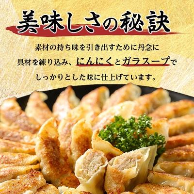 ふるさと納税 大和高田市 【2025年5月上旬発送】鉄人餃子　150個(30個×5袋) |  | 02