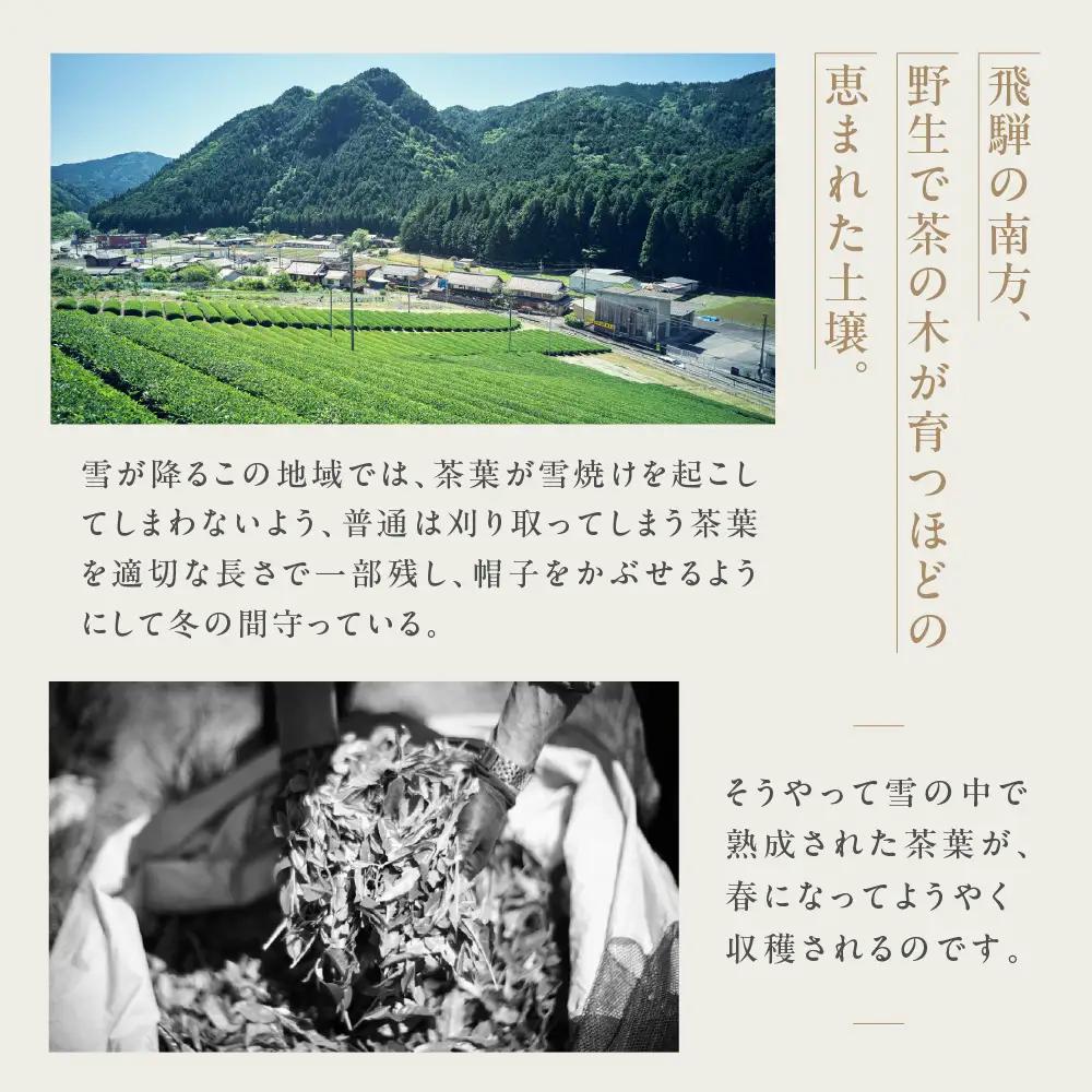 金飛騨茶 57577（緑茶）飛騨金山産 （50g×2箱）【94-1】