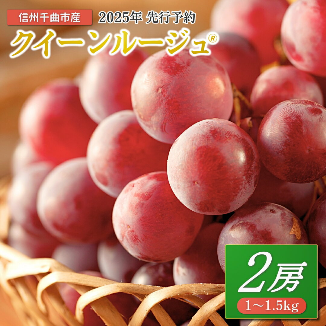 【ふるさと納税】【2025年先行予約】ぶどう クイーンルージュ? 1~1.5kg(2房) ｜ 赤ぶどう 果物 フルーツ 種なし 皮ごと 信州 特産品 千曲市 長野県産 信州