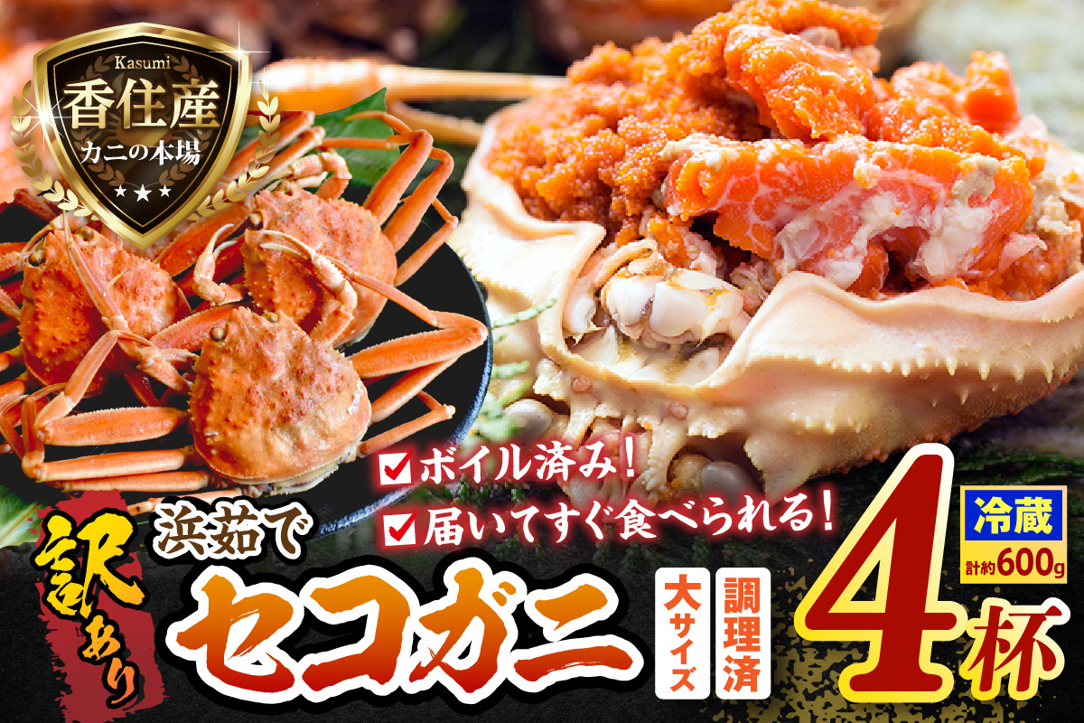 訳あり 浜茹で セコガニ 香住産 大サイズ 4杯入り 冷蔵【令和8年11月中旬以降発送予定】香住 濃厚 ミソ やみつき 内子 外子 絶品 訳あり 指落ち 大人気  濃厚 香美町 柴山 山陰 日本海 国
