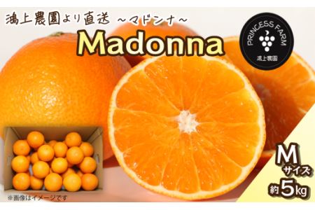 【先行予約】Madonna（愛媛果試第28号）約5㎏【Mサイズ】家庭用｜あいか 紅まどんなと同品種