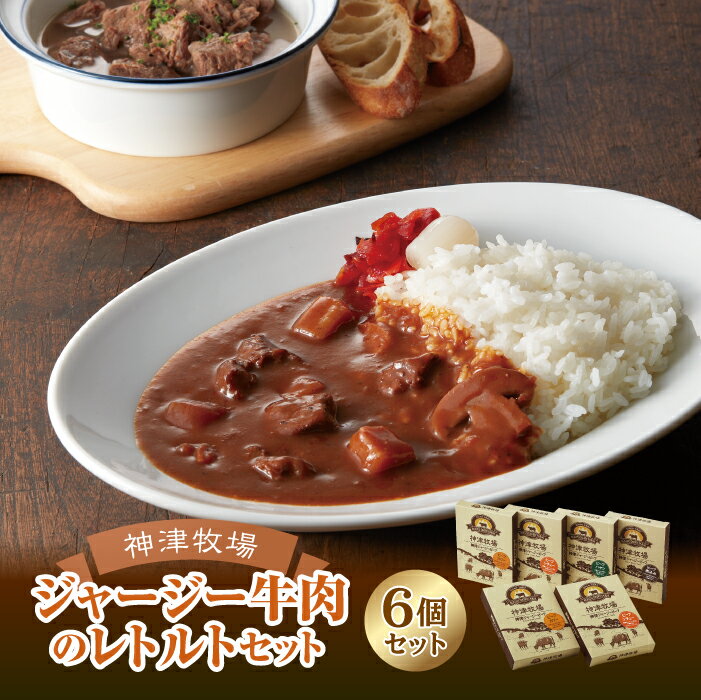 【ふるさと納税】【神津牧場】ジャージー牛肉のレトルト(カリー・ハヤシ・シチュー・ビーフ煮込み)計6個セット F21K-506