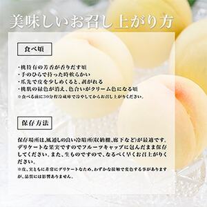【2025年発送】岡山県産　白桃6玉(1.6kg以上)　化粧箱入り【配送不可地域：離島・北海道・沖縄県】【1281362】