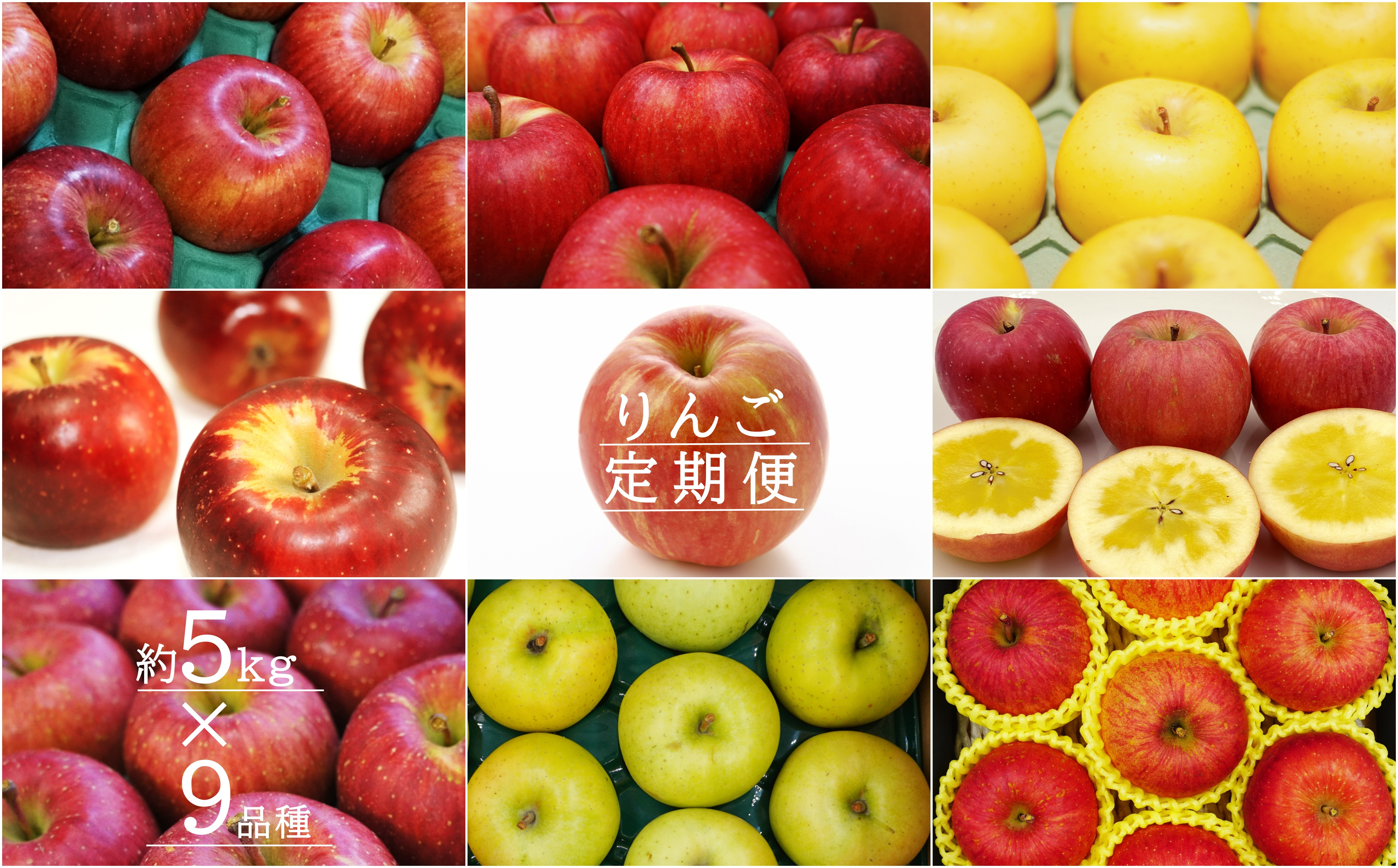 
            【2025年9月～12月発送】【定期便9回】「秀品」りんご5kg×9種_H150(R7)
          