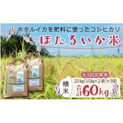 ふるさと納税 滑川市 【毎月定期便】ほたるいか米　精米　20kg(10kg×2袋)全3回