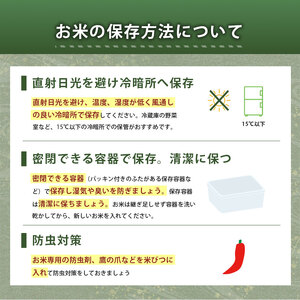令和7年度産 きぬむすめ 玄米 5kg＜ 2026年1月～より順次発送予定 ＞ 