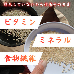 利根町産　コシヒカリ　玄米　5kg ／ 米 こめ コメ お米 おこめ コシヒカリ こしひかり 令和7年産 新米 玄米 ごはん ご飯 5kg 健康志向 茨城県 利根町 産地直送 送料無料