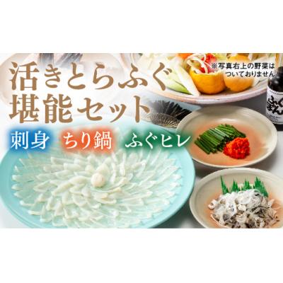 ふるさと納税 山口市 とらふぐの刺身(33cmプラ皿)とふぐちりセット B029