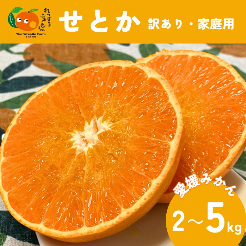 【ふるさと納税】みかん 愛媛 せとか 訳あり ご家庭用 【選べる容量】 2kg 5kg 施設 露地 数量限定 先行予約 ＜2026年1月下旬から順次発送予定＞ レッスルファーム おすすめ 美味しい おいしい グルメ フルーツ くだもの 国産 愛媛県産 人気 柑橘 伊予市