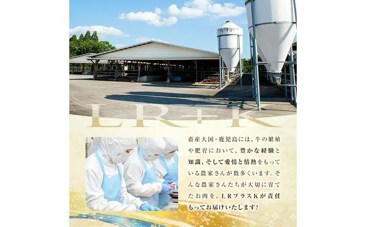 【小分け】＜A5等級＞鹿児島県産黒毛和牛 すき焼きしゃぶしゃぶセット(霜降りスライス・赤身スライス各200g×3P/計1.2kg) b6-022