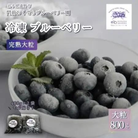 冷凍ブルーベリー 大粒 合計800g(400gパック2個入り) 門前おくでらブルーベリー園【配送不可地域：離島】【1738484】