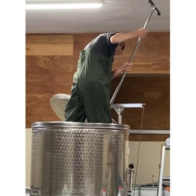 ふるさと納税 上富良野町 【野生酵母】爽やかなワイン 白&微発泡 各1本 多田ワイナリー |  | 02