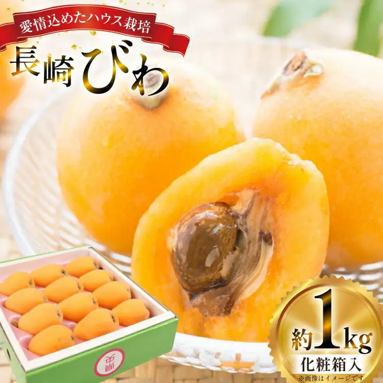 びわ 長崎 ハウスびわ 1kg 化粧箱入 【2027年3月順次発送】